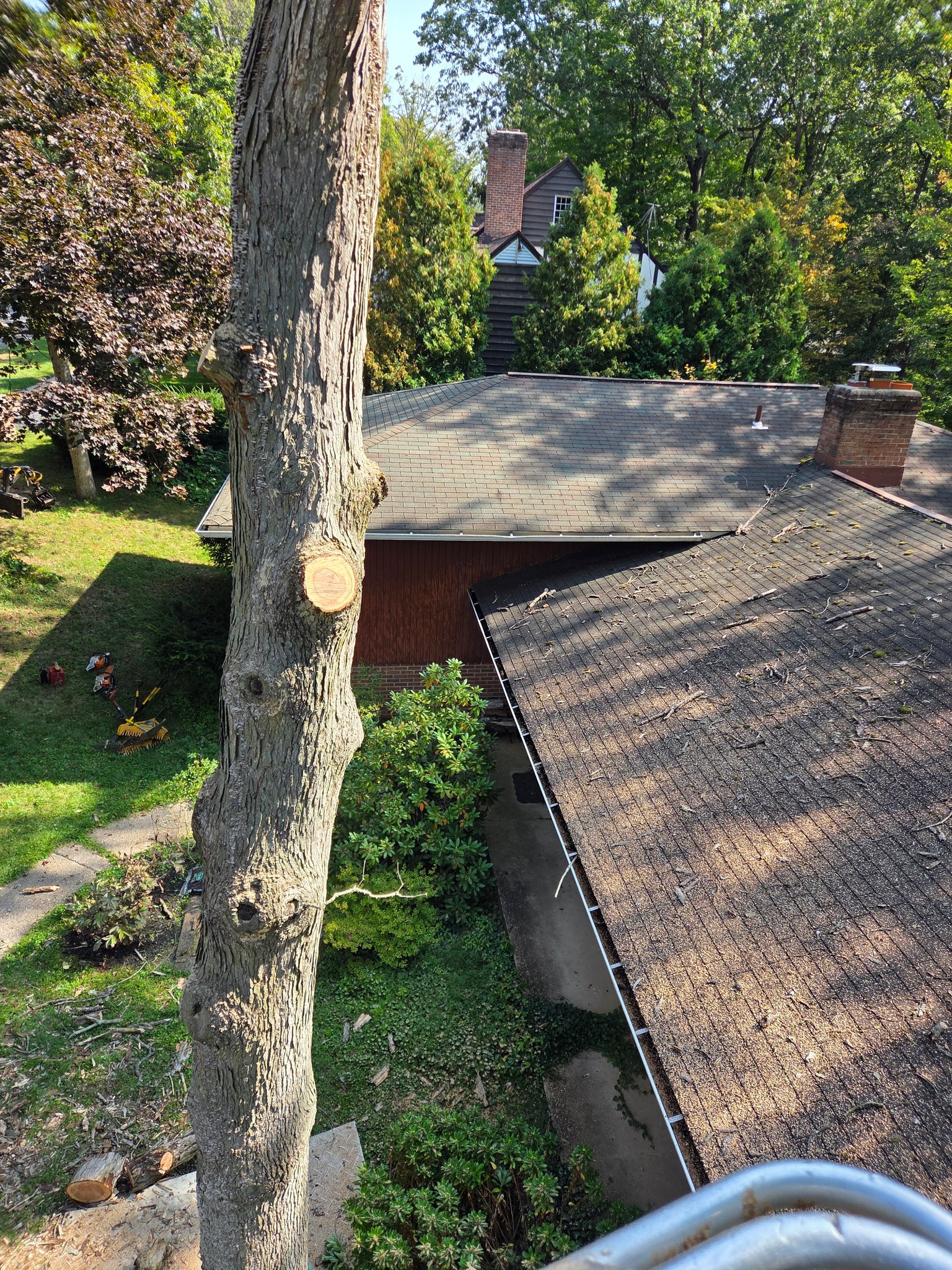 Max's Pro Tree Service added a... - Max's Pro Tree Service