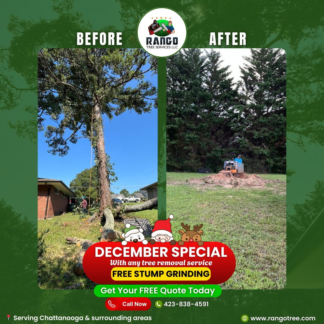 Rango Tree Services LLC | Chattanooga TN