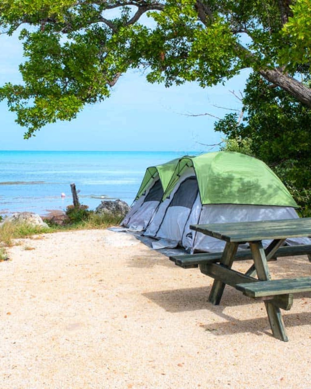 indoor tent bed LEEDOR® Dream Tents Bed Canopy Shelter Cabin Privacy Warm Breathable Pop Up Twin Size for Kids and Adult Patent Pending PitchBlack(Mattress Not Included) (LEEDOR®2005) : Home & Kitchen Pop Up Tents On category_leder_bondage Color:TURQUOISE/ 5TH GENERATION Frame structure