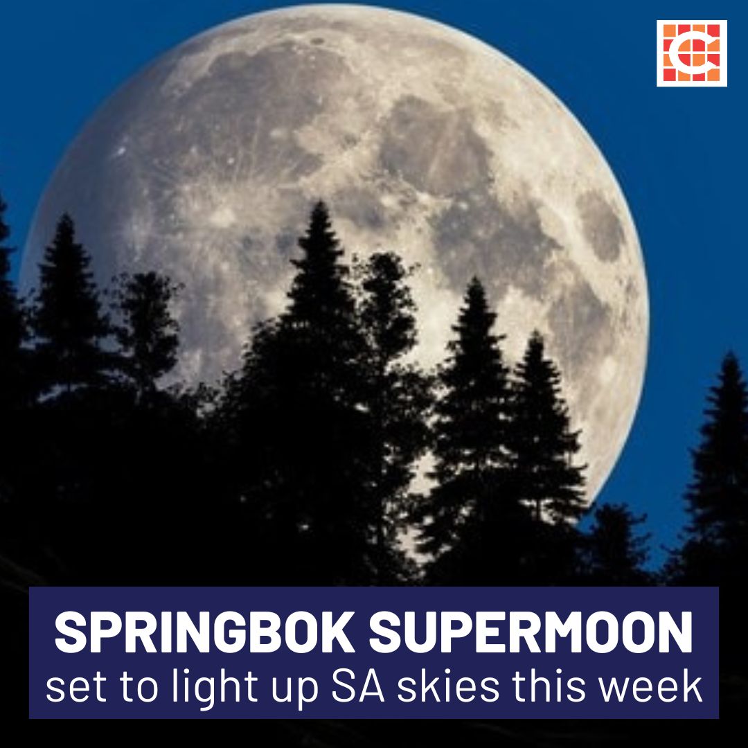 Caxton - Caxton Network News | South Africans can catch 2025’s final ...