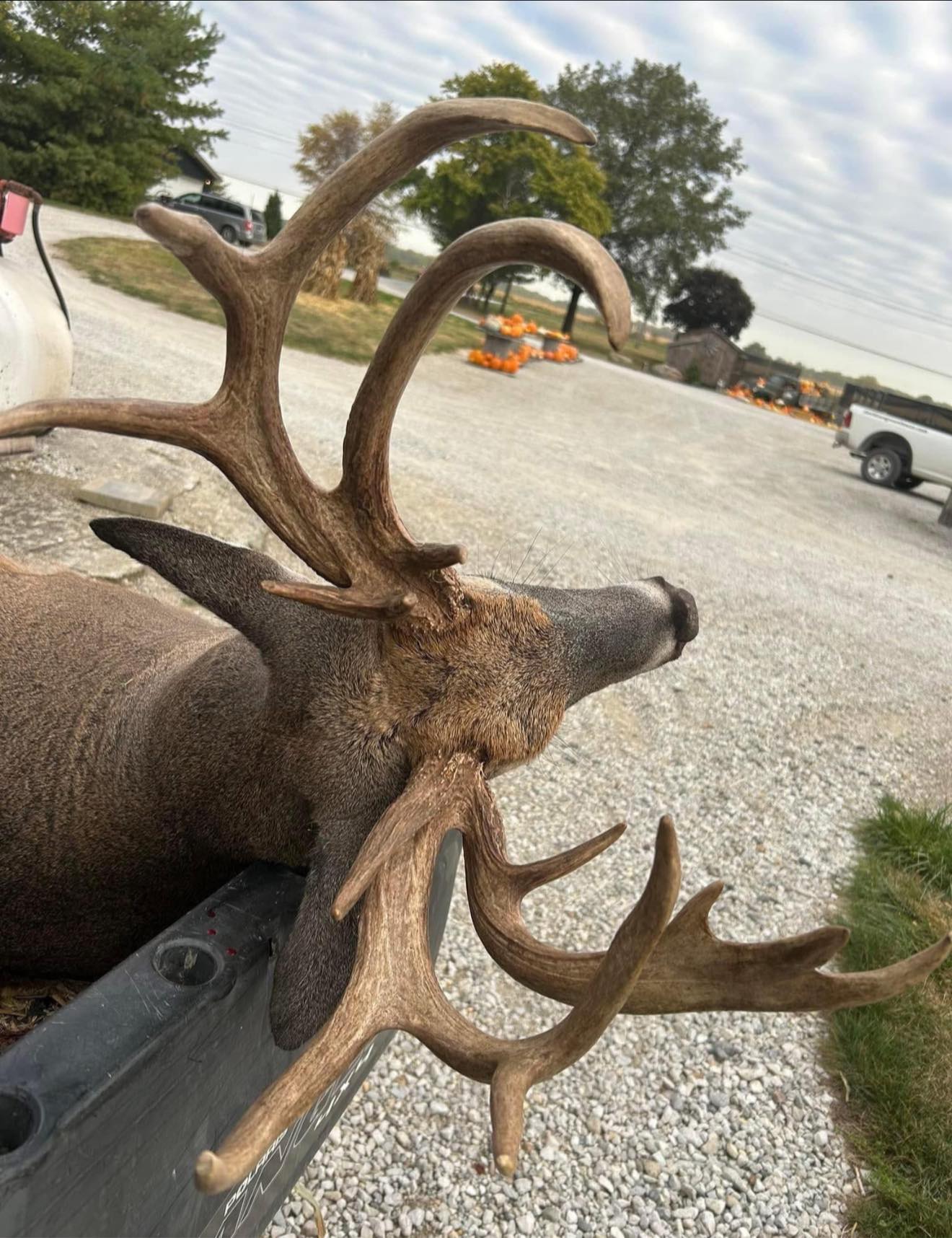 Asstrozen - Wow checkout this double main beamed buck out of Indiana ...