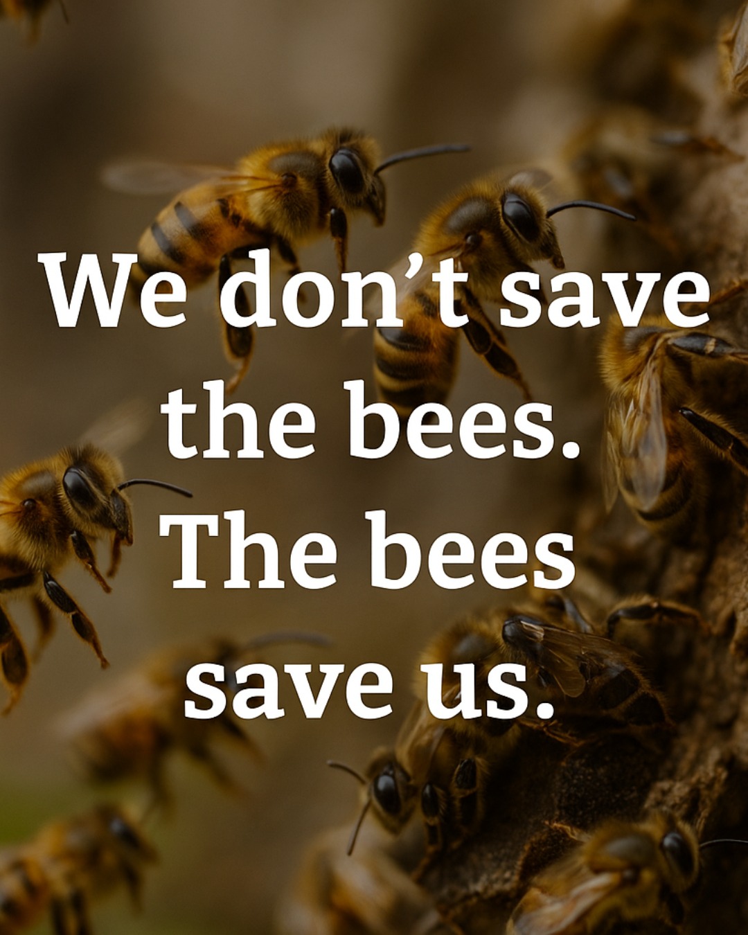 Tips - 🐝💛 Did you know bees are the unsung heroes of our planet? Beyond ...