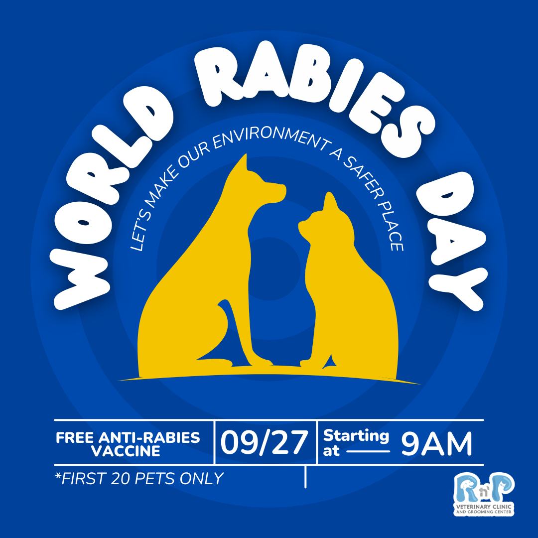 🌍... - R n' P Veterinary Clinic & Grooming Center - Norzagaray | Facebook