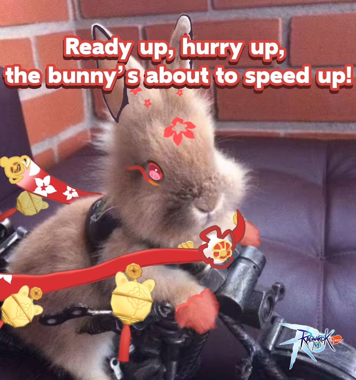 🐇 Ready to speed up? The rabbit is... - Ragnarok M: Classic | Facebook