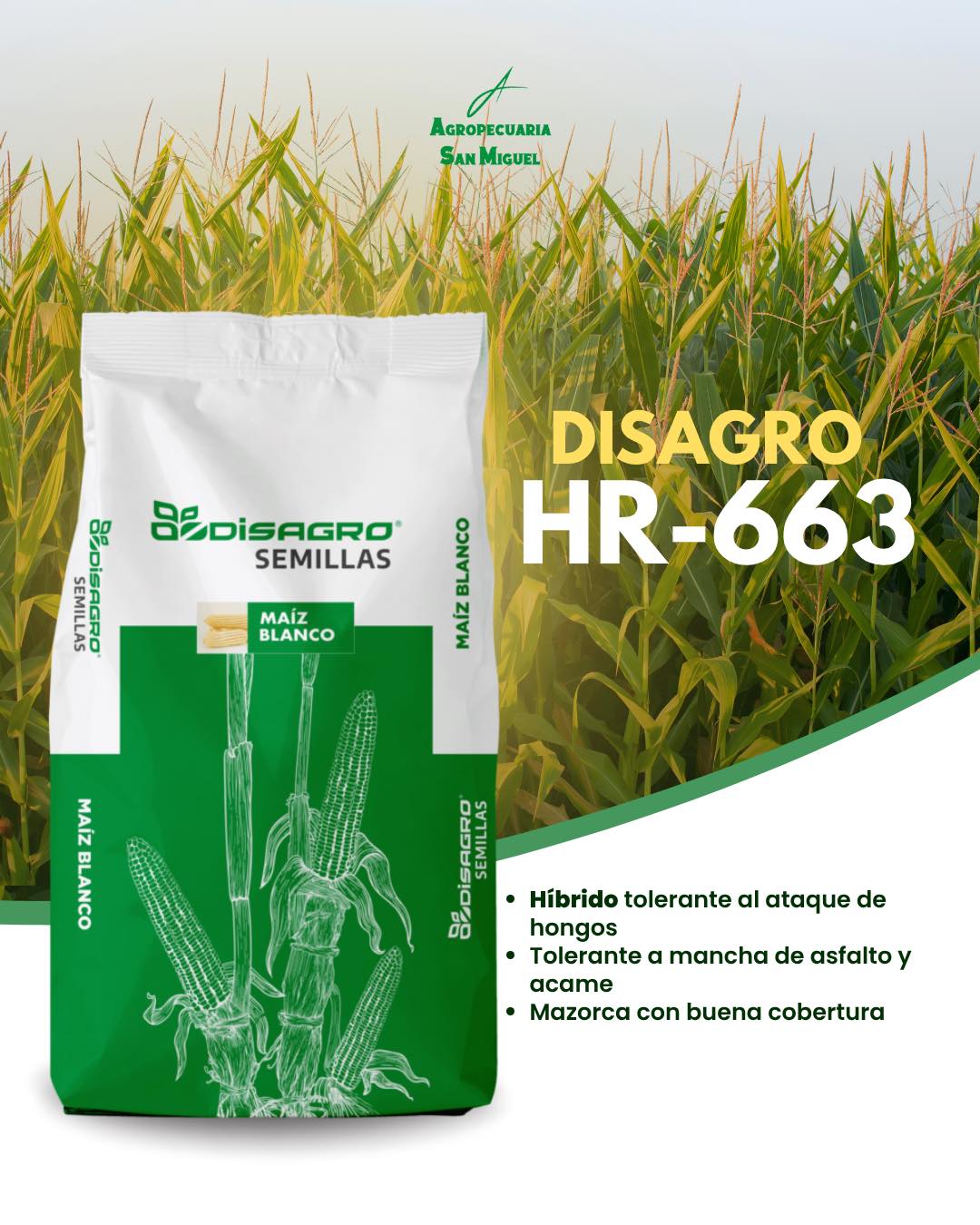 Agropecuaria San Miguel | San Miguel