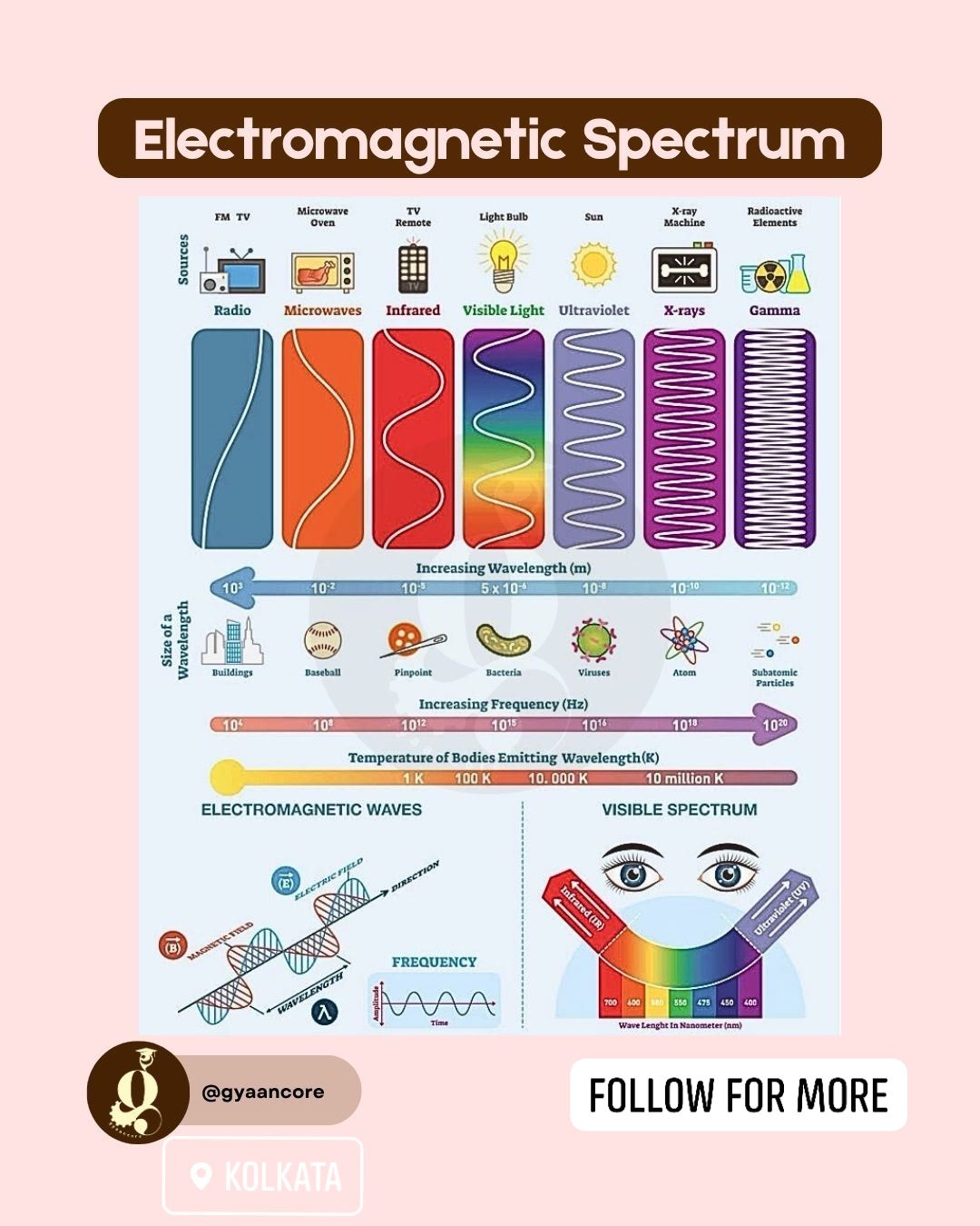 Beyond the Rainbow: Exploring the Electromagnetic Spectrum