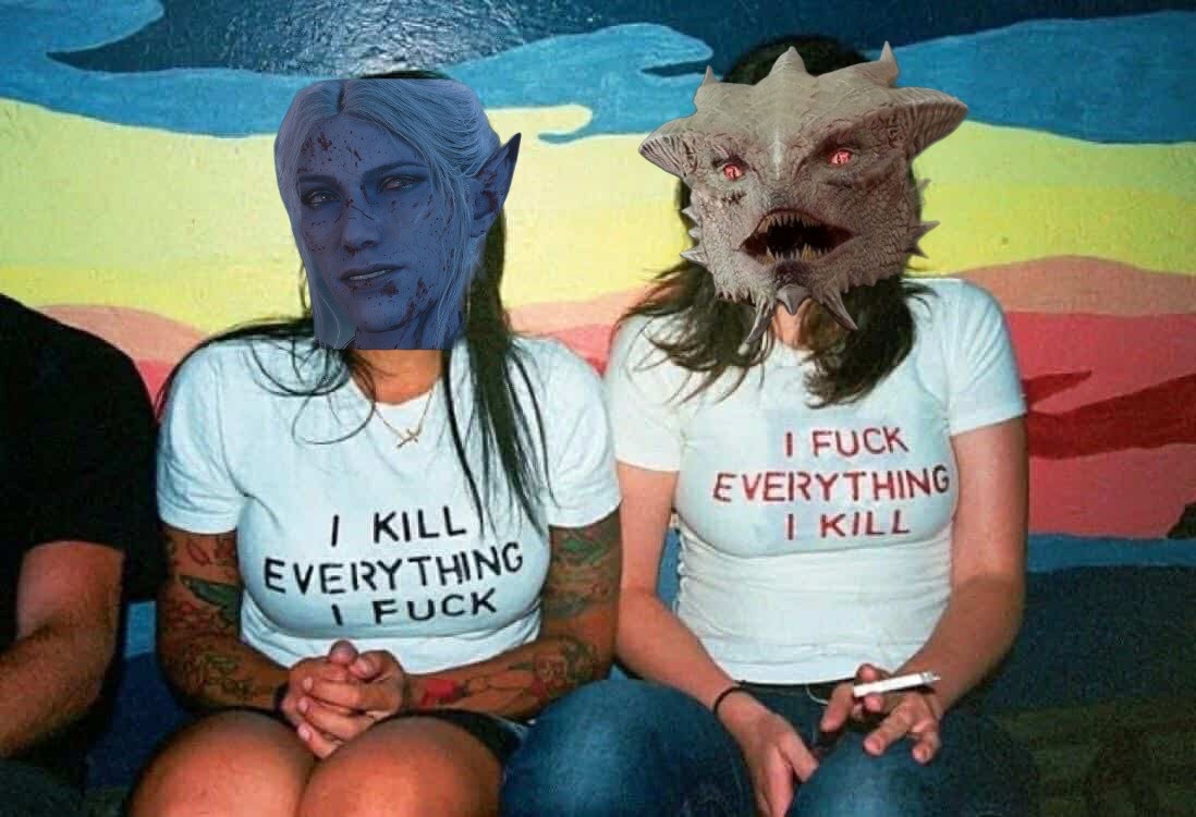 Baldur's Gate III Memeflaying™️ | Sometimes it do be like that | Facebook
