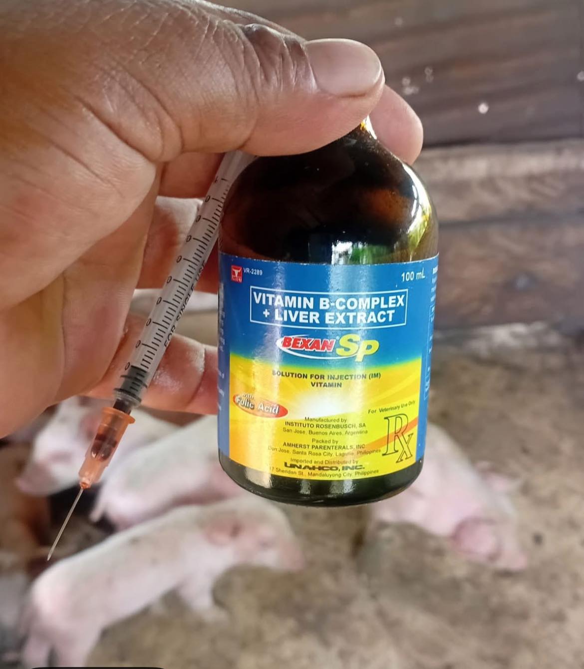 Benefits of vitamin B complex in pigs