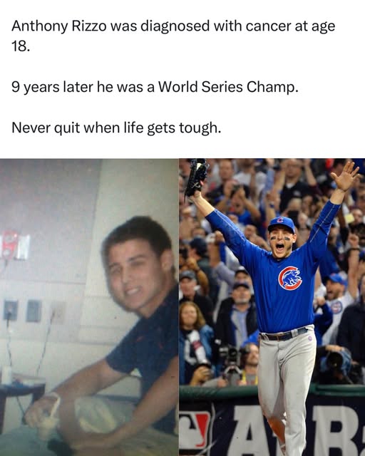 Baseball’s - Anthony Rizzo is a perfect example of why you never give ...
