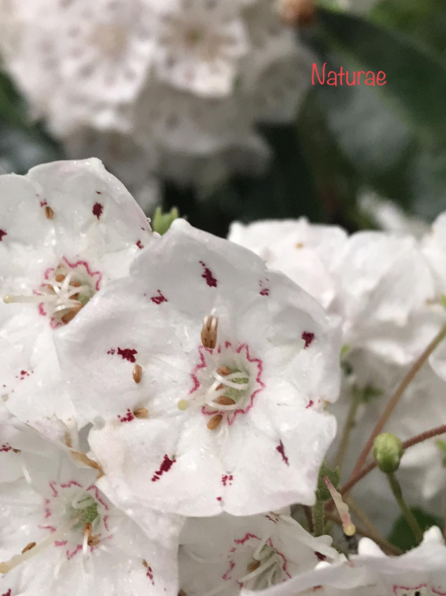穏やかな時間が、一番心に残る。 Peaceful moments stay longest in 
