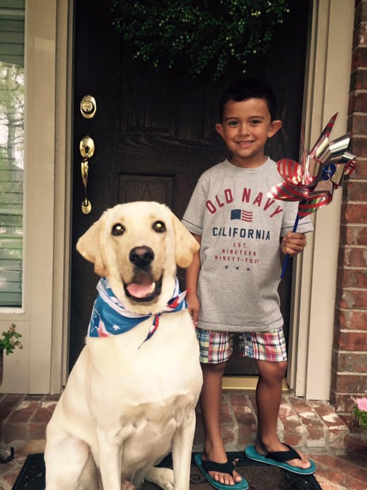 Yellow Labrador Lovers