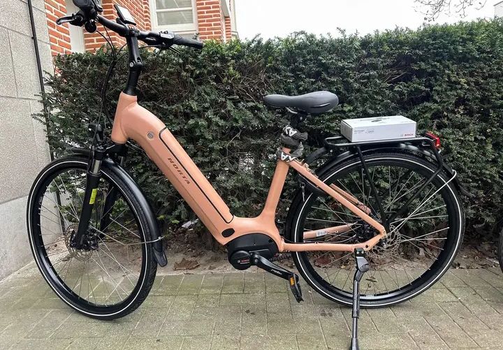 fahrradsattel damen leder Gusti Michael M – Fahrrad Sattel für Cityräder – Fahrradsitz für & Herren Farbe:dino glossy Deal: Aldi bietet ein Category:E Bike_Maxxis Minion DHF