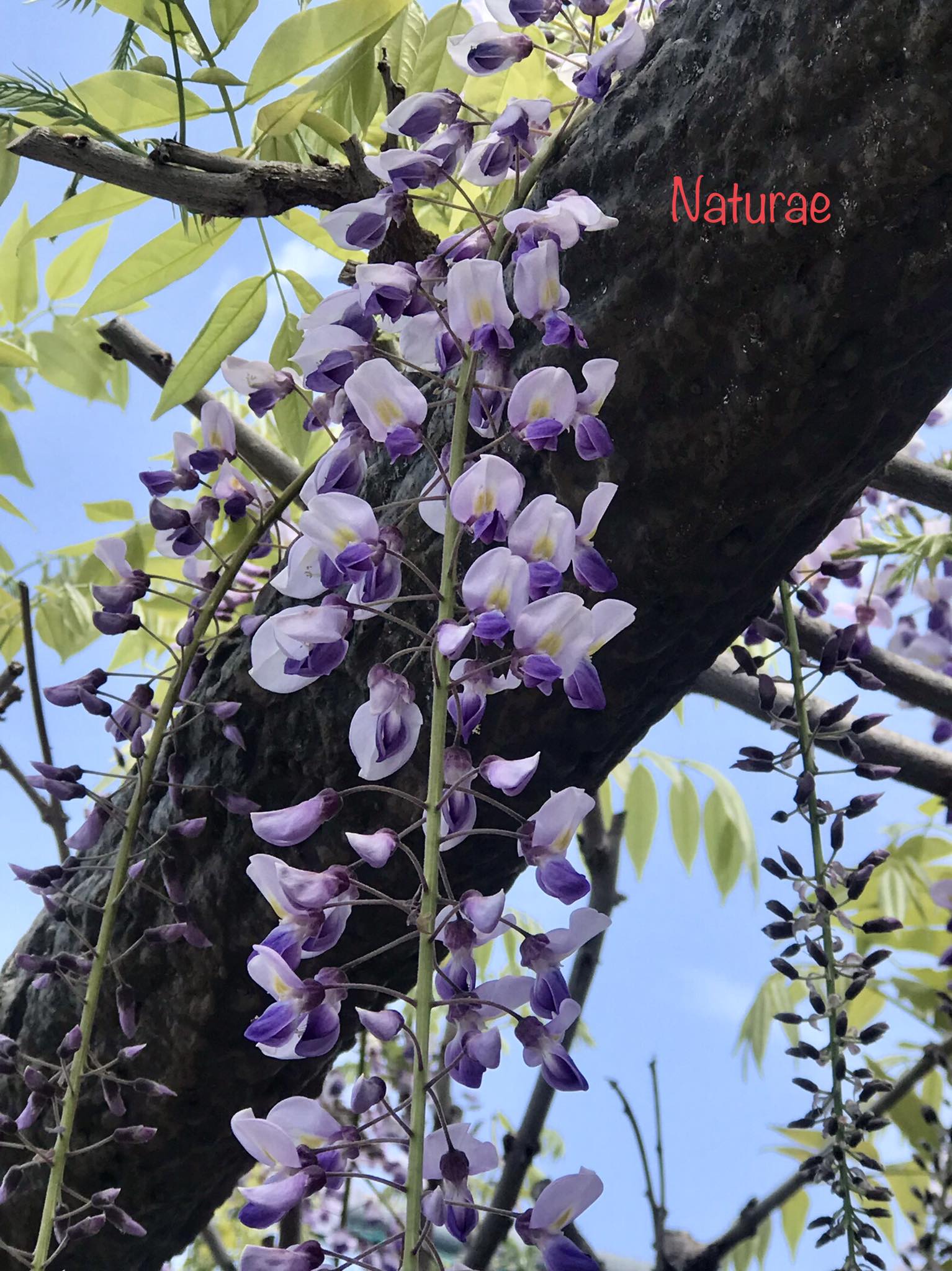 穏やかな時間が、一番の幸せ。 Peaceful moments are the greatest 