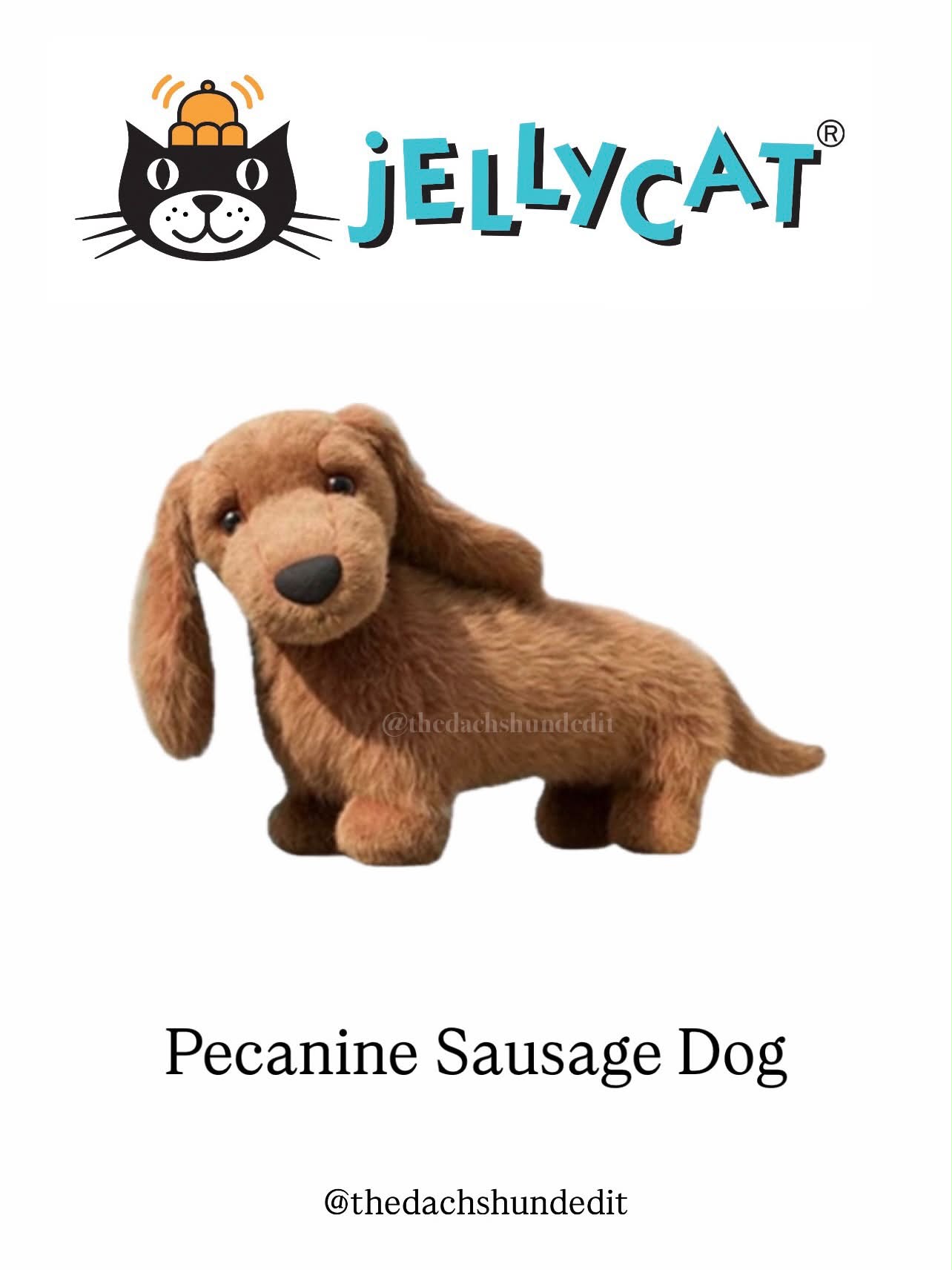 Jellycat Pecanine Sausage Dog availability for US buyers