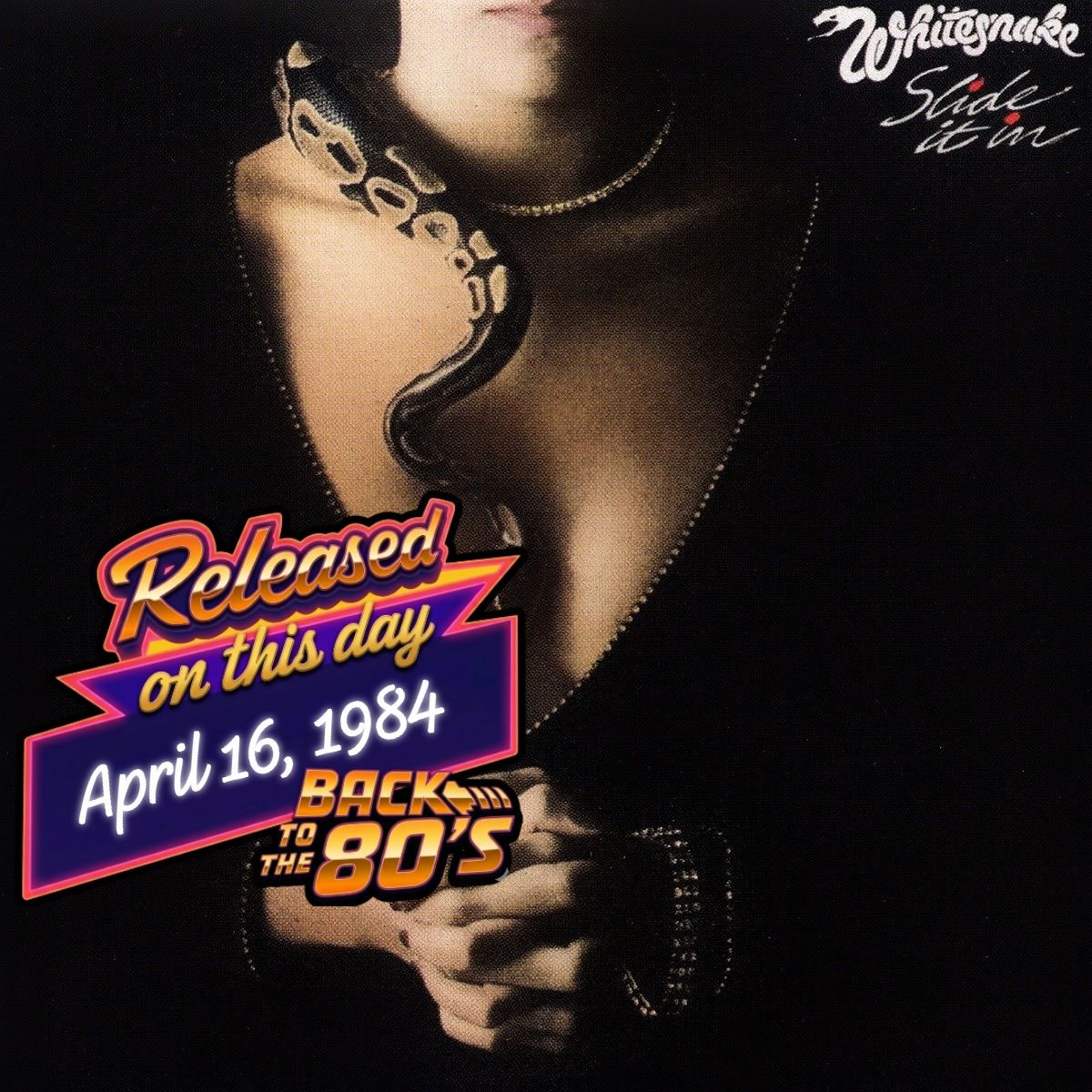 Whitesnake's Slide It In album review