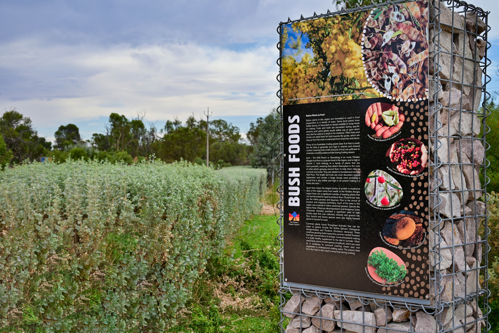 The Flinders Ranges Council | Quorn SA