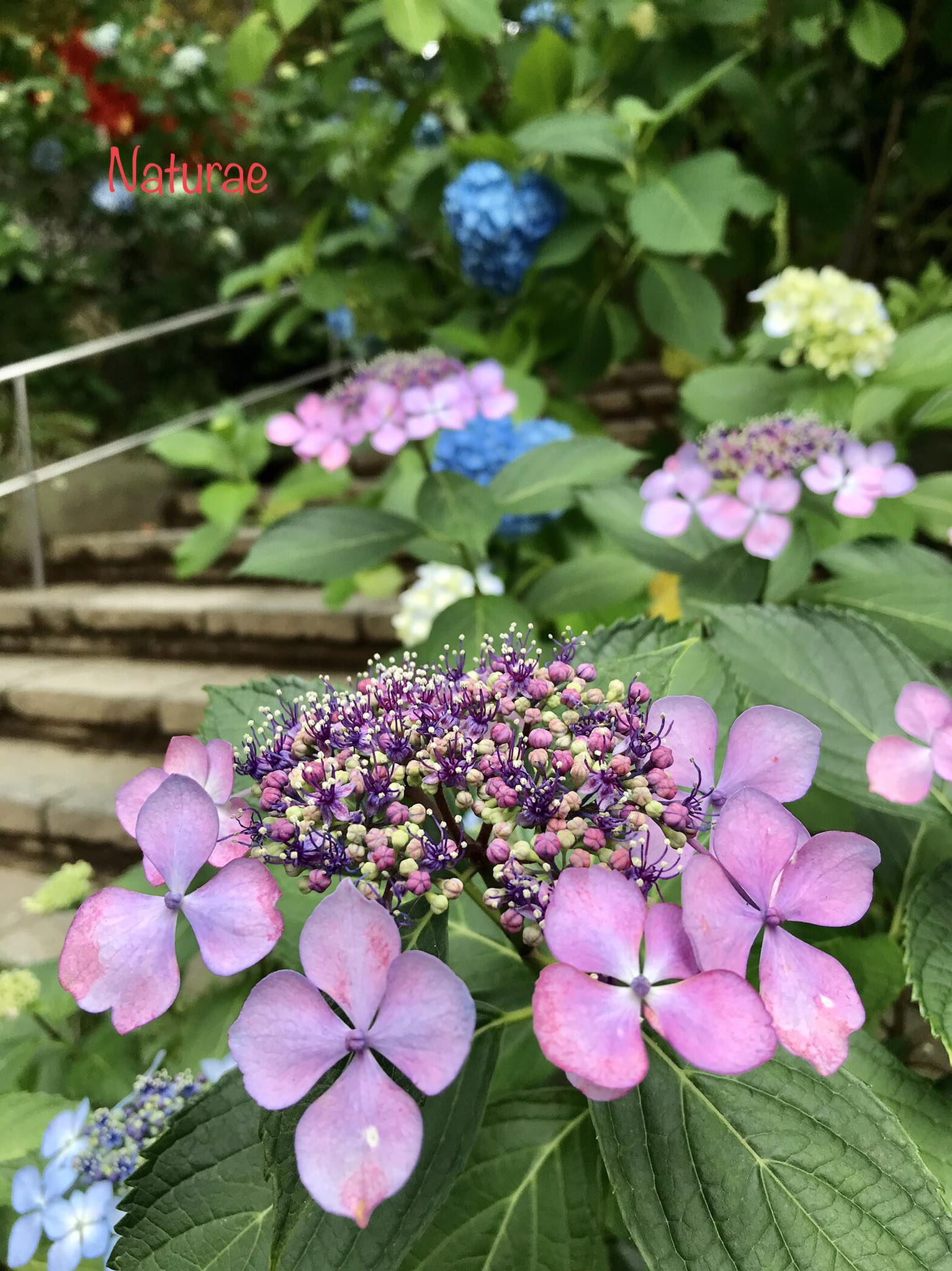 おはようございます。素敵な週末になりますように。 Good Morning 