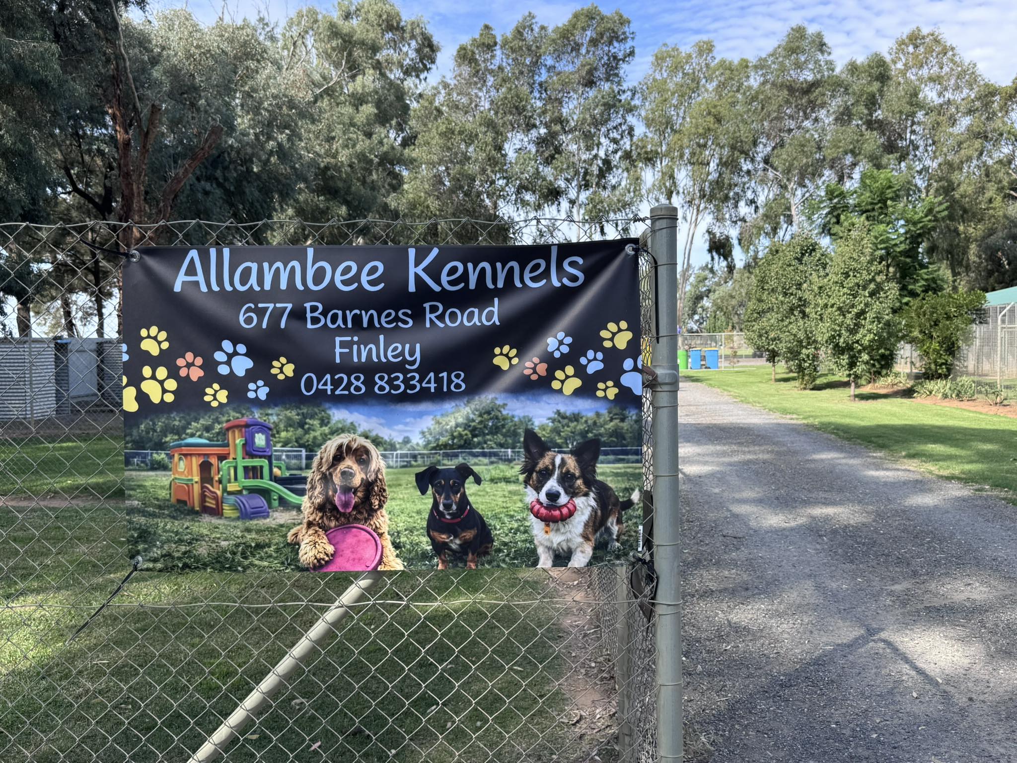 Allambee Kennels | Finley NSW