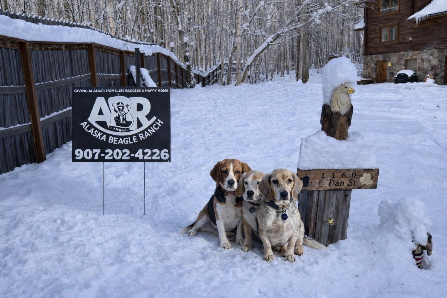 Vintage Racers for Rescues... - Vintage Racers for Rescues