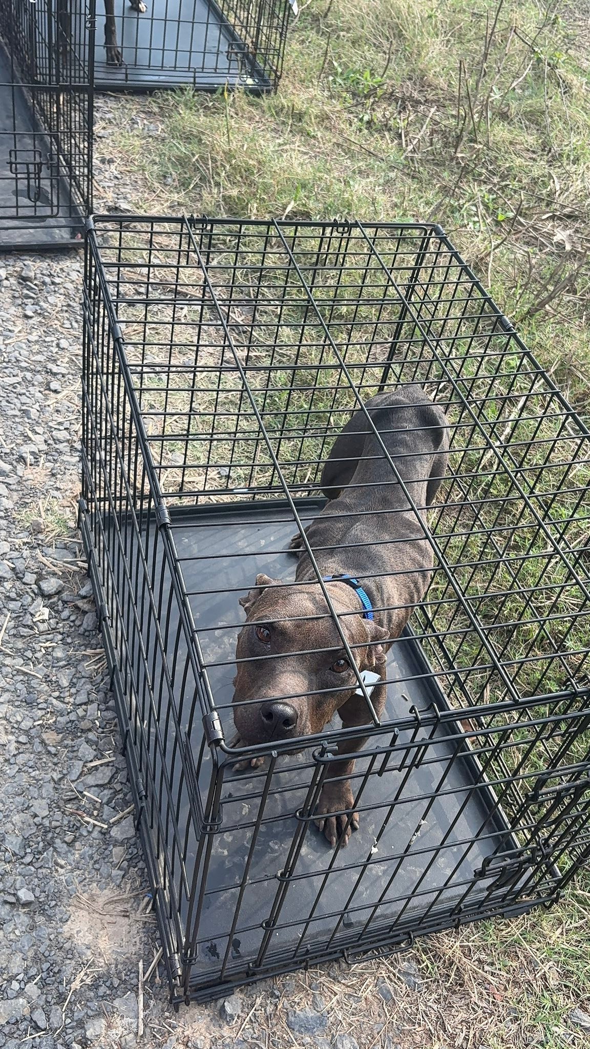Jak's Second Chance... - Jak's Second Chance Rescue Ranch