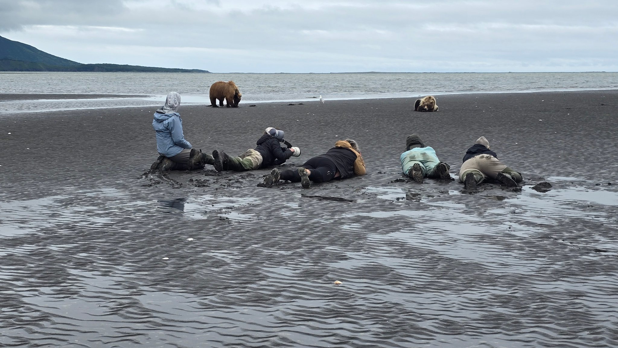 Bassett's - Another great day in Katmai with our guests and a momma ...