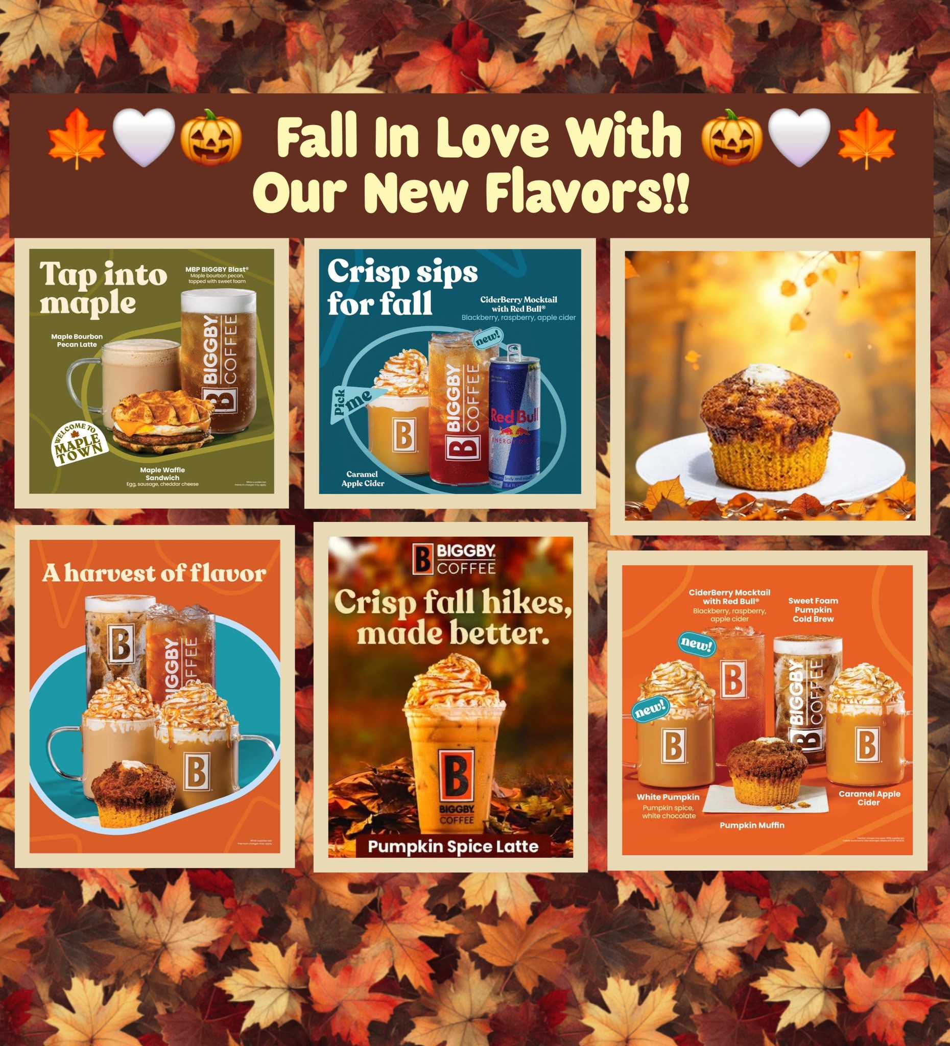 Yes, it's still August. Yes, we are still going to enjoy our Fall