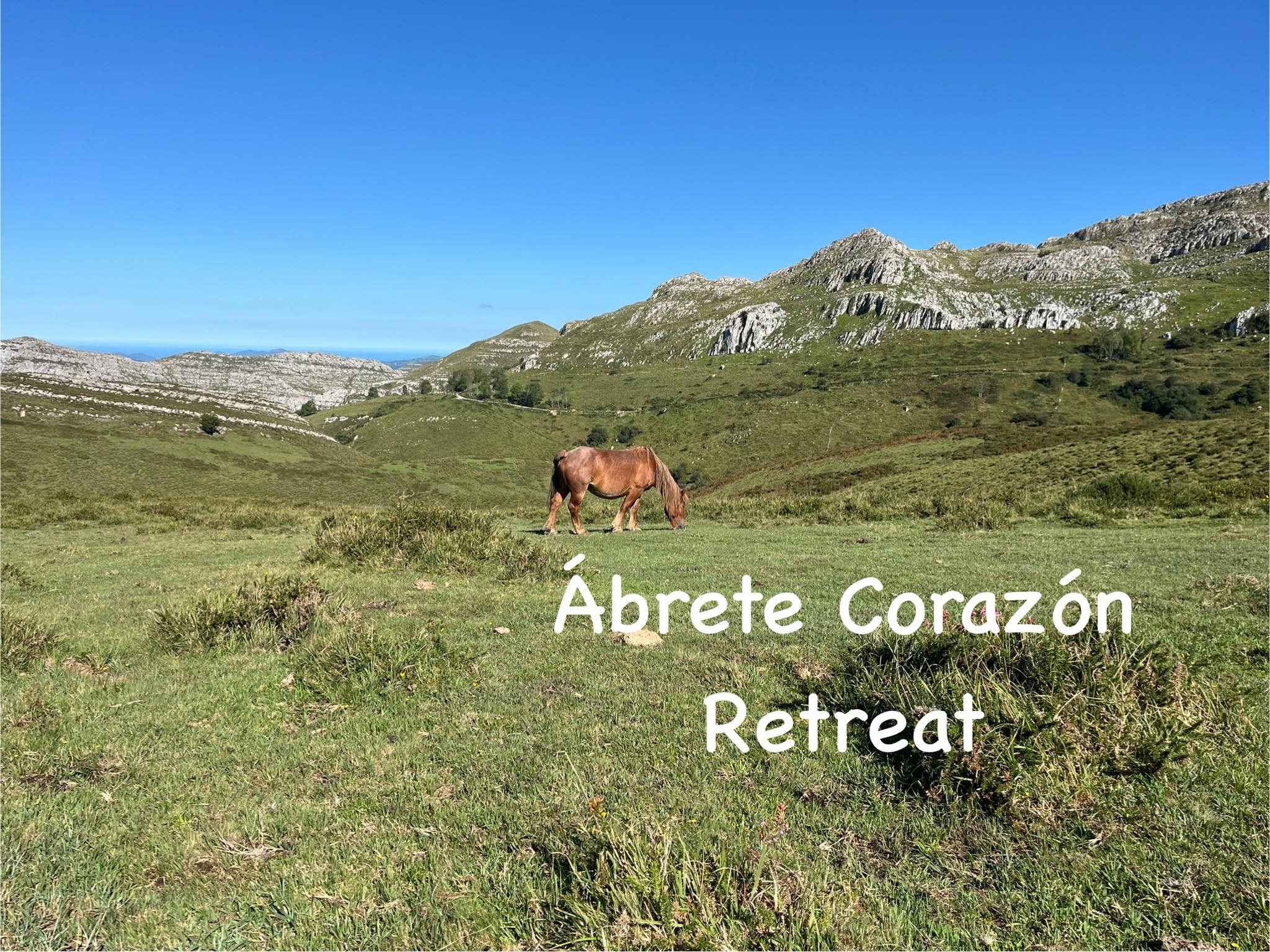 Abrete Corazon | Haifa