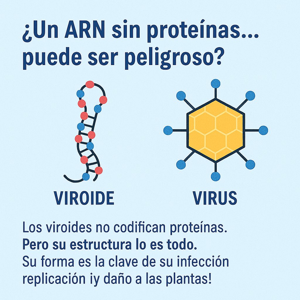 Science Made in Ecuador - 💚 💛💜🖤 | Facebook