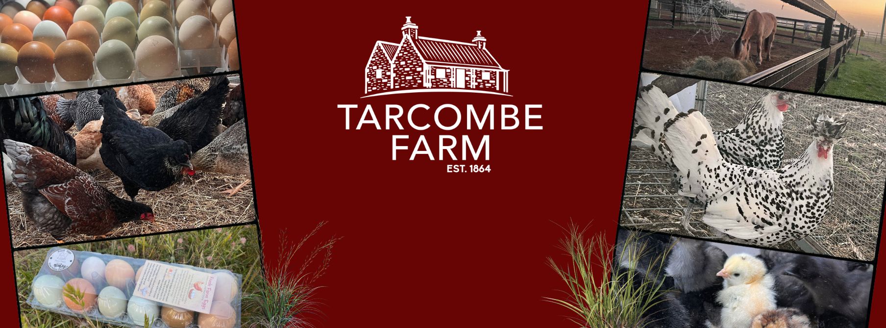 Tarcombe Farm | Little River VIC