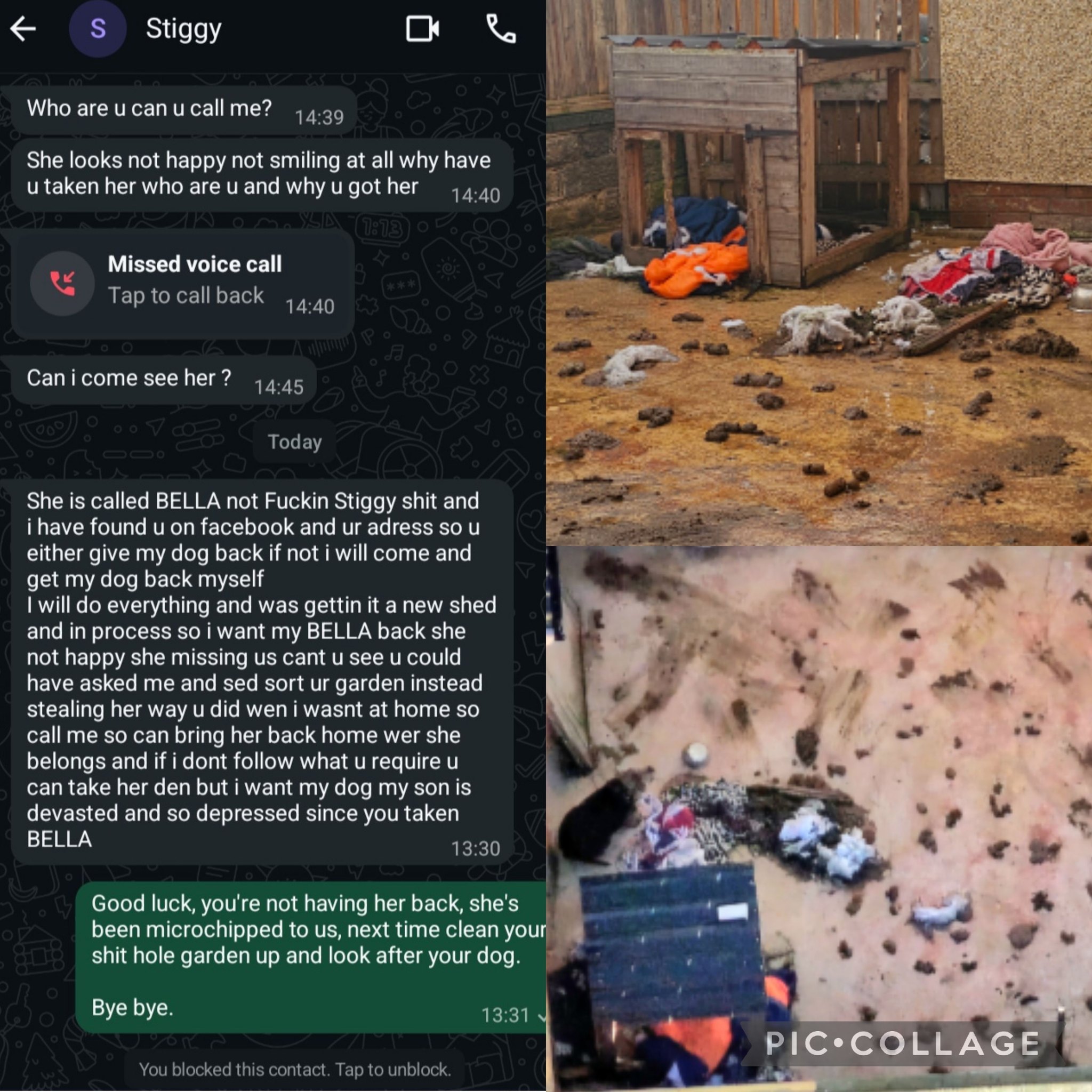 Animal - Aw, it seems the abusers want their dog back 🥺🙄 | Facebook