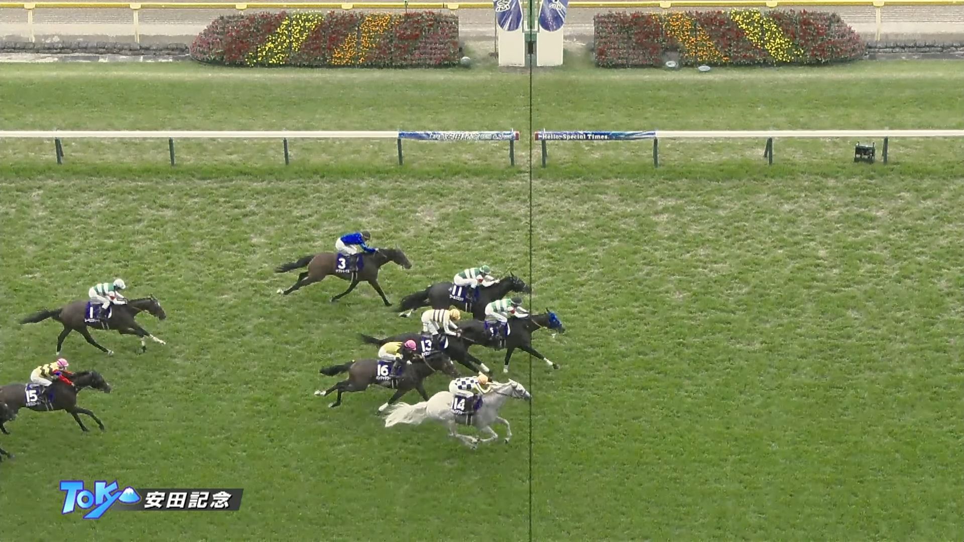 SIXPENCE WON 2026 YASUDA KINEN! Congrats for his first G1 