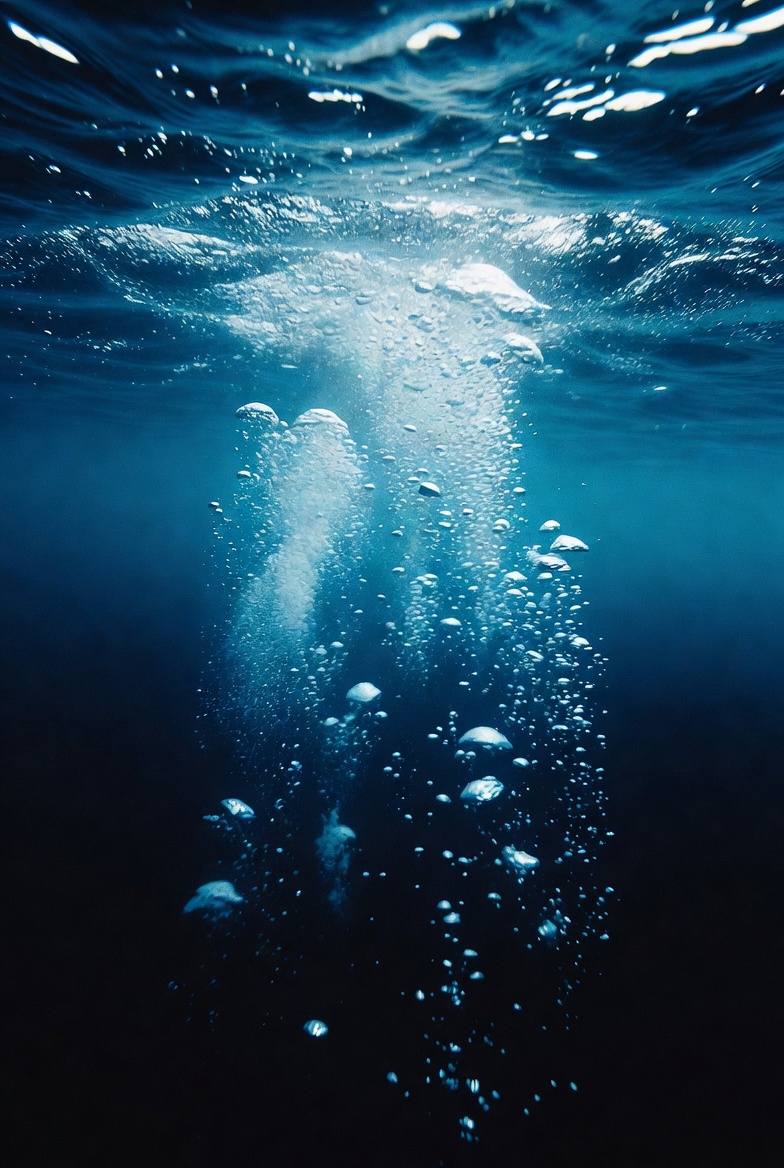 Navtraq - THE DISCOVERY: OXYGEN RISING IN THE ABYSS Deep-sea ecosystems ...