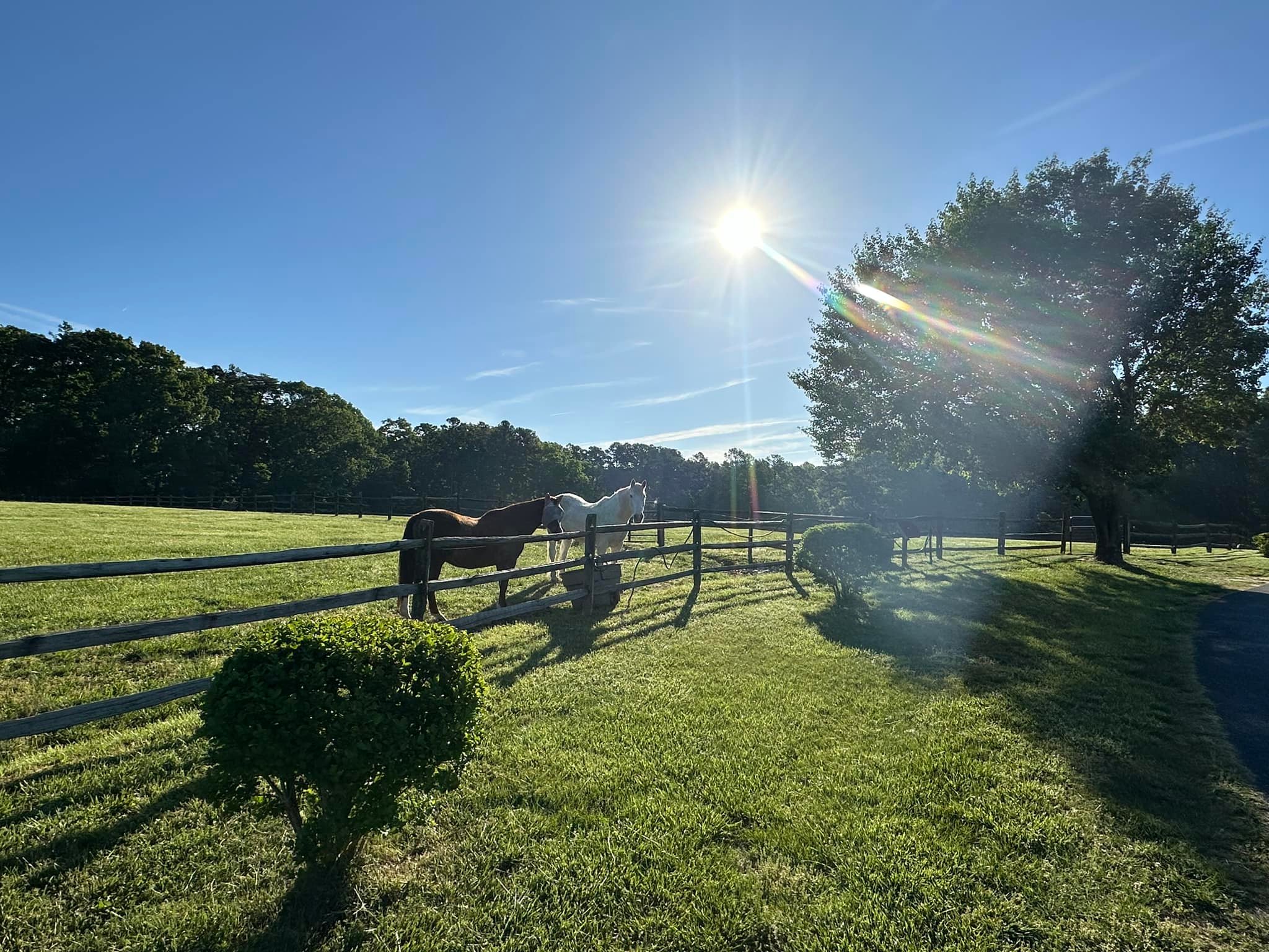 Good Morning Sunshine ☀️... - The Ranch at Red Oak