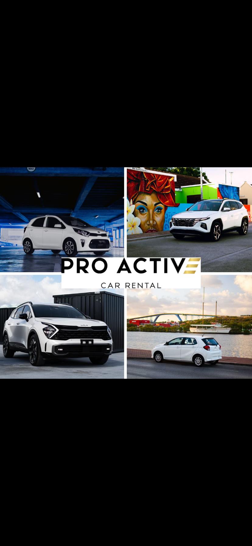 Pro Active Car Rental