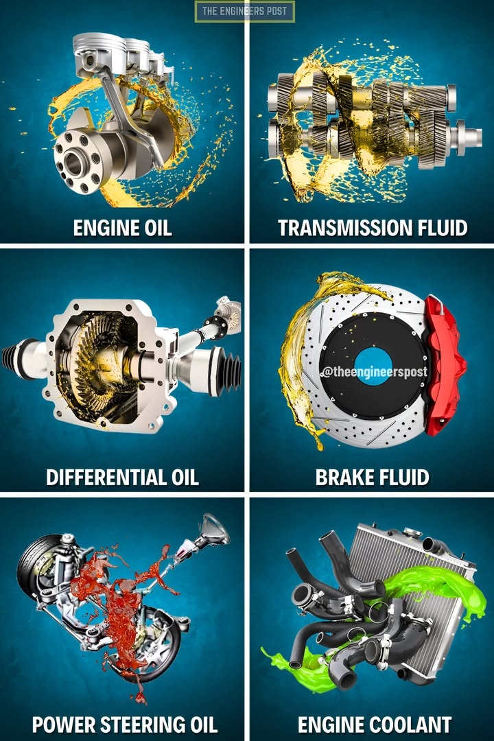 History - 📌 Don't Ignore These 6 Car Fluids – Save Your Engine & Wallet ...