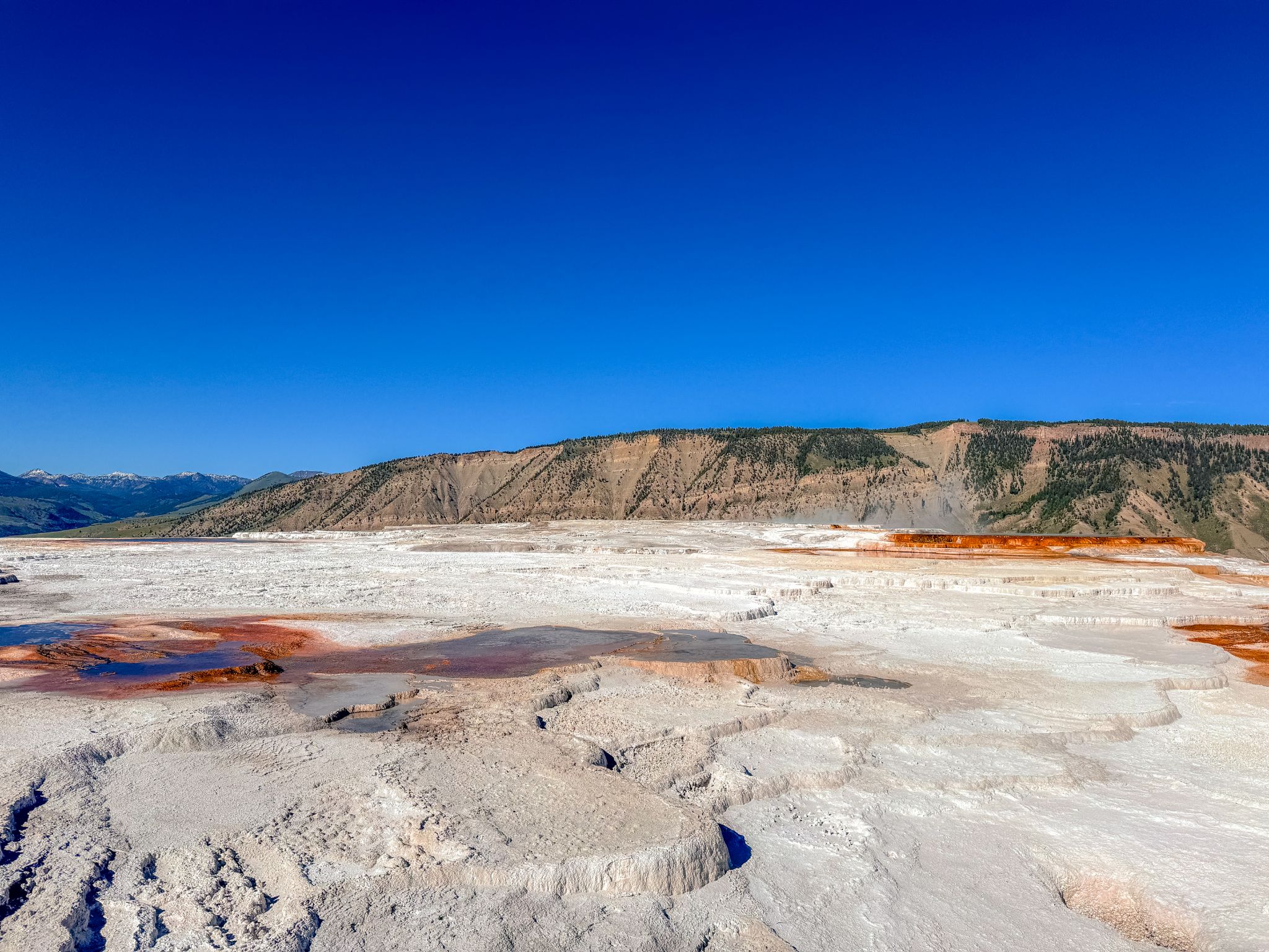 Explore - Mammoth Hot Springs in Yellowstone National Park 📍 For More ...