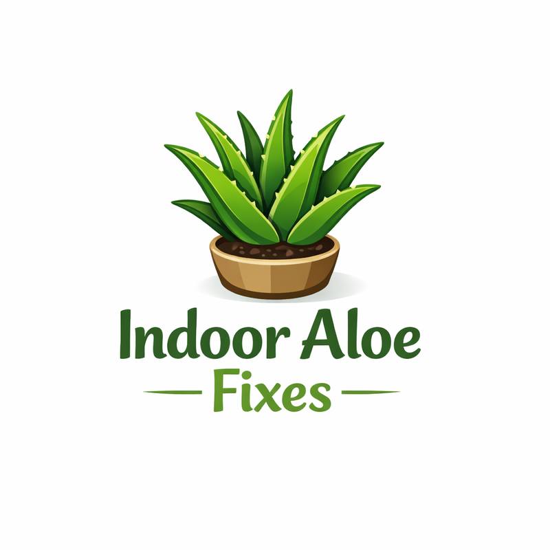 Snake Plant not growing? 🌿 Root-bound roots, poor light, or cold ...