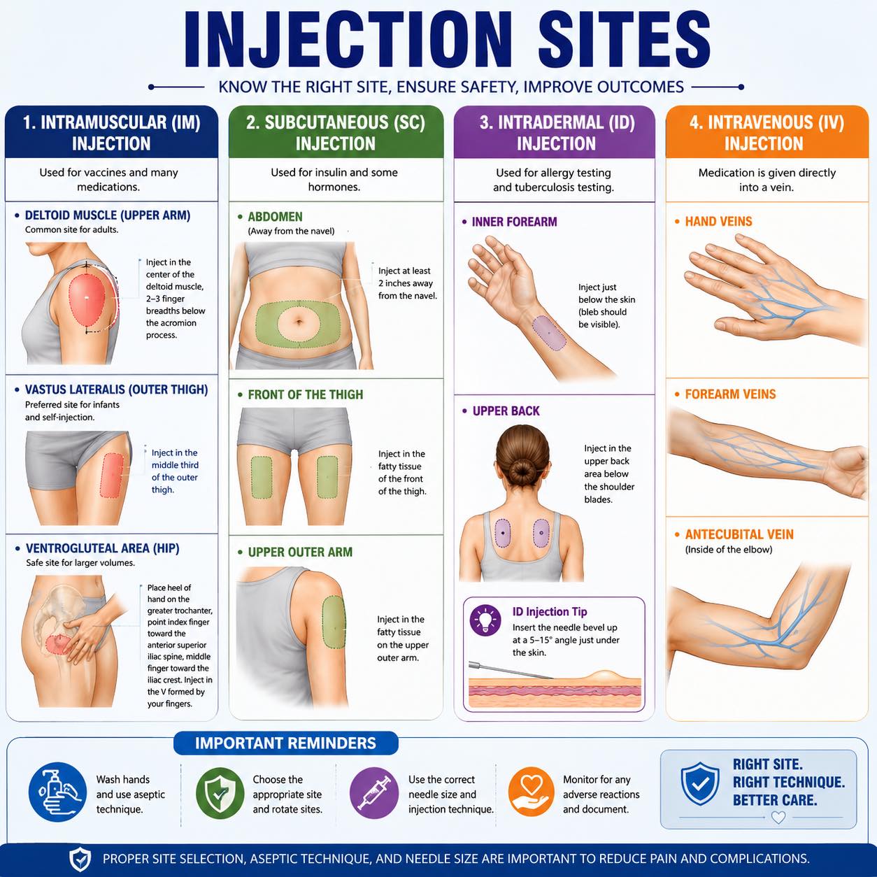intramuscular thigh vitamin b12 injection site sites #medical #students #English #healthylifestyle NAD-H AOD-9604 | AOD9604 Peptide Size:1000 mcg/ml - 30 ml (Pack of 2)