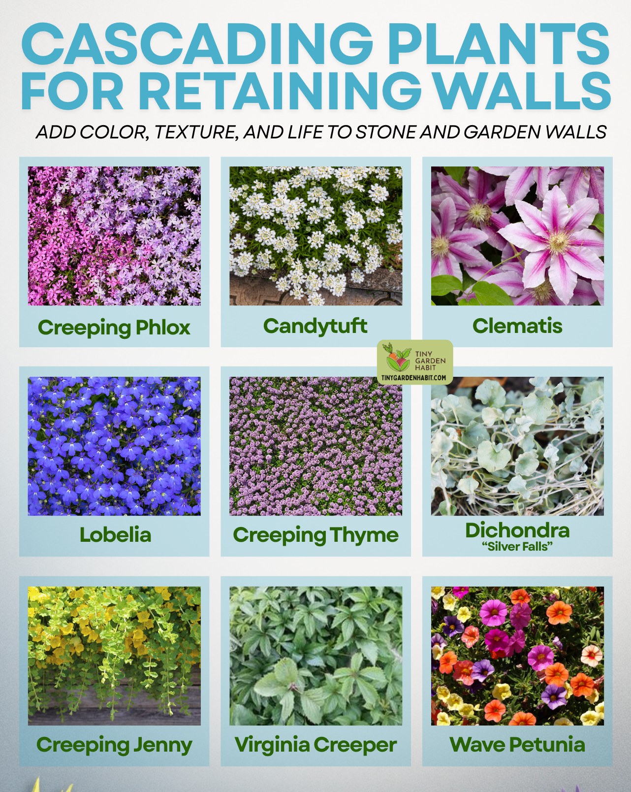 Tiny - 🌿 These cascading plants turn plain retaining walls into living