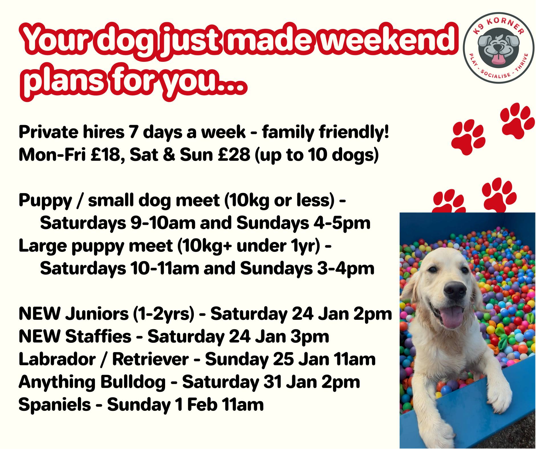 K9 Korner - Your dog’s social calendar is officially FULL... | Facebook