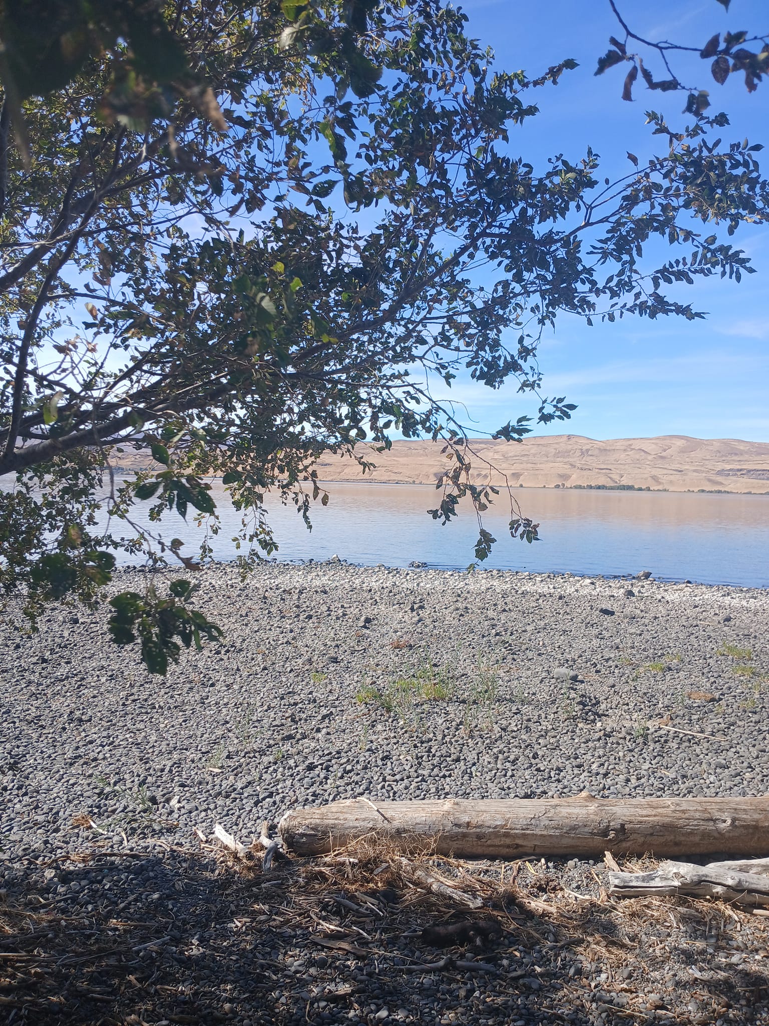 Timothy River
