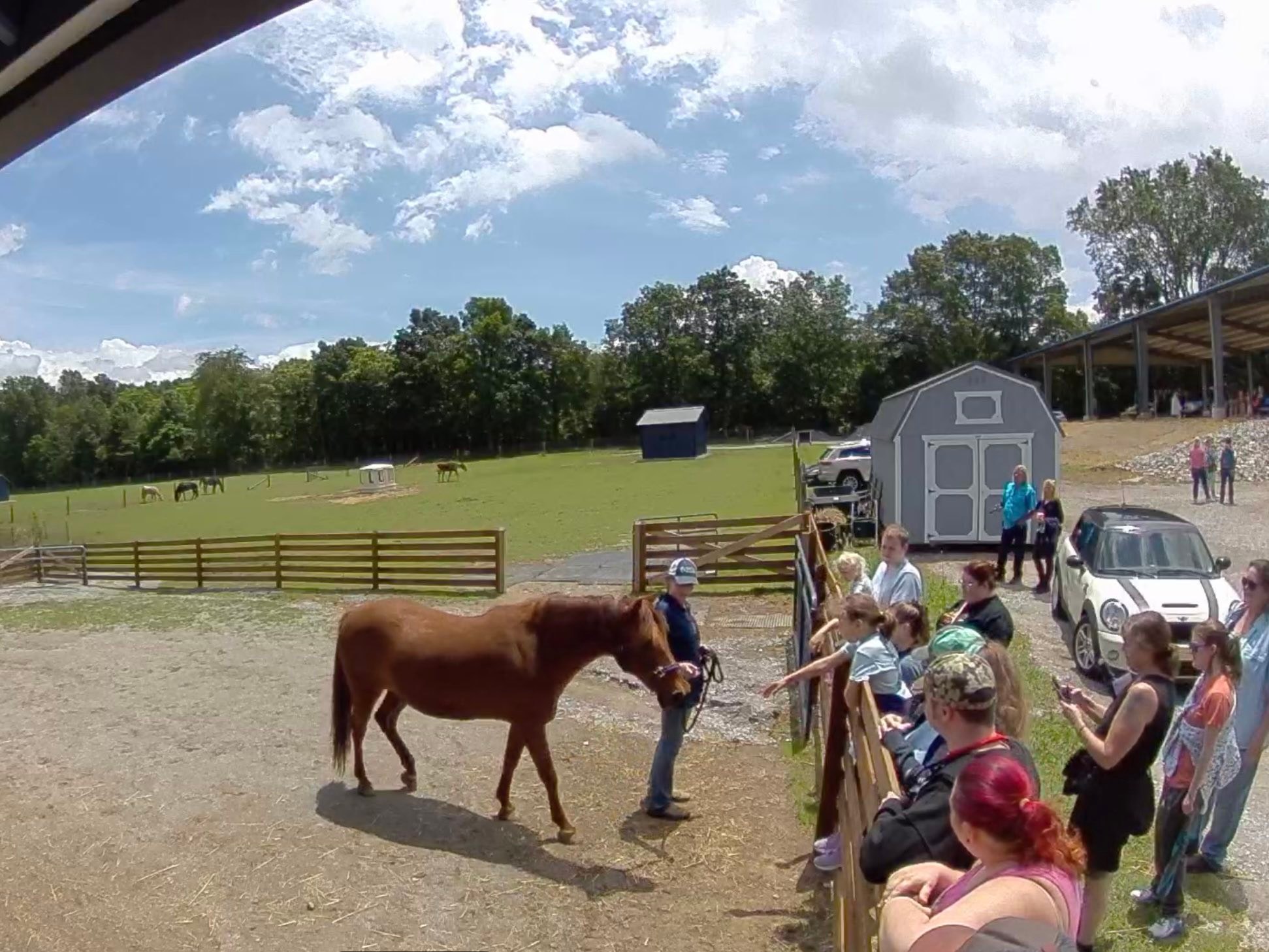 Deer Run Ranch Equine... - Deer Run Ranch Equine Connection