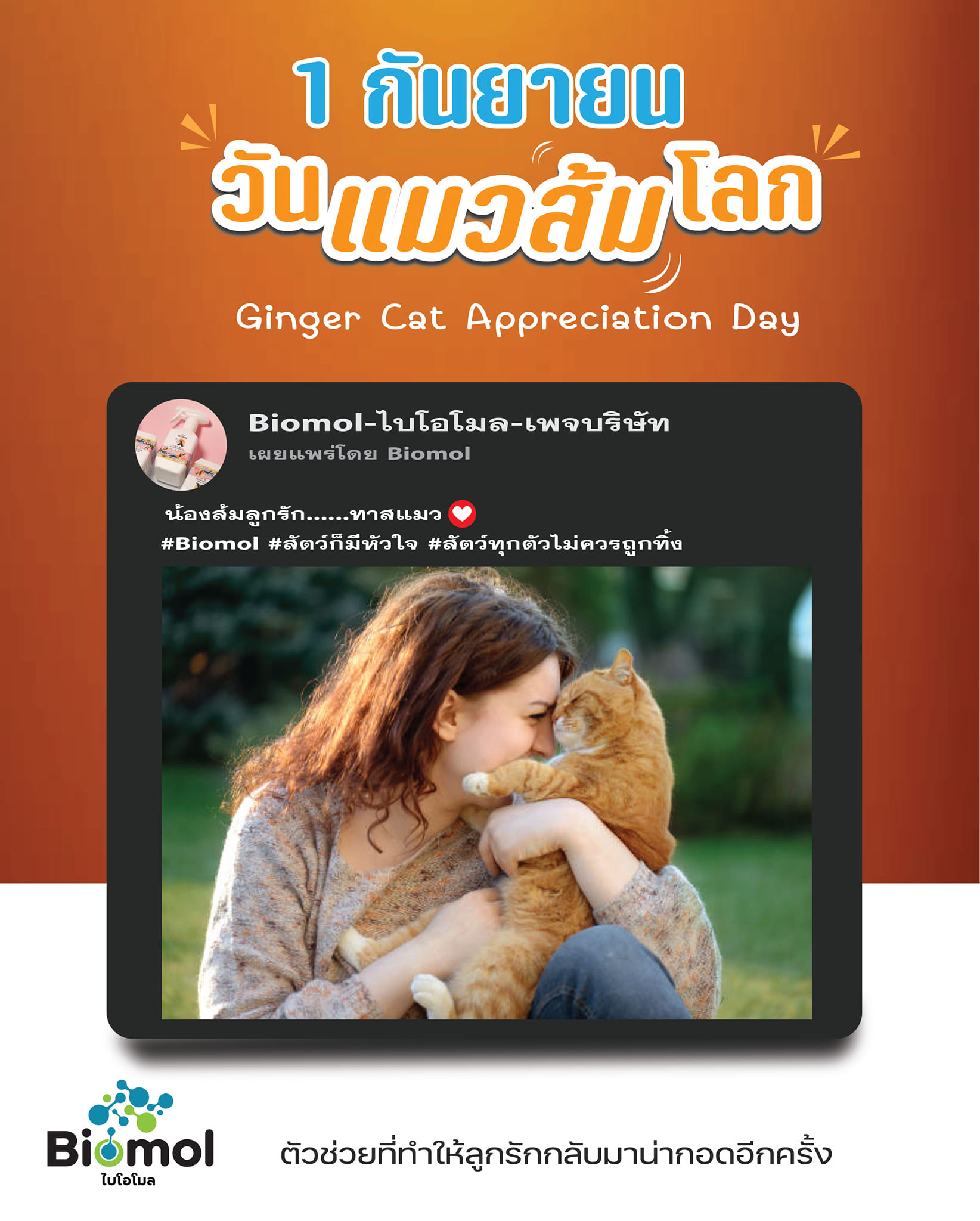 😺 1 กันยายน วันแมวส้ม 😺... - Biomal ไบโอโมล - เพจบริษัท