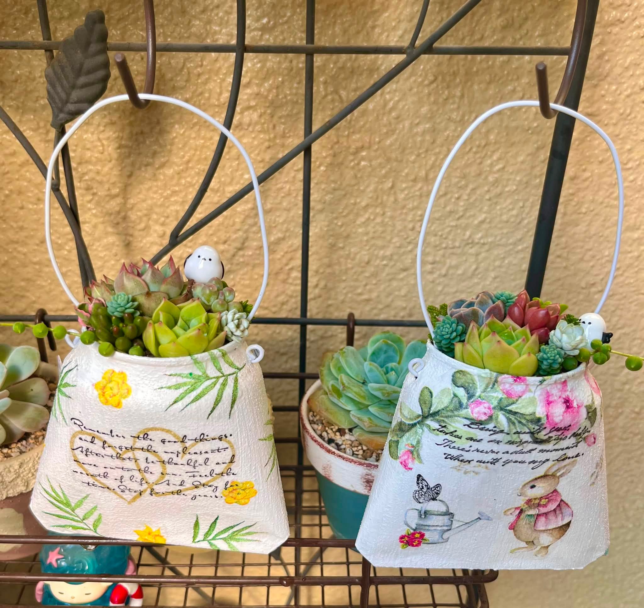 リメ缶バックに寄せ植え🪴✨