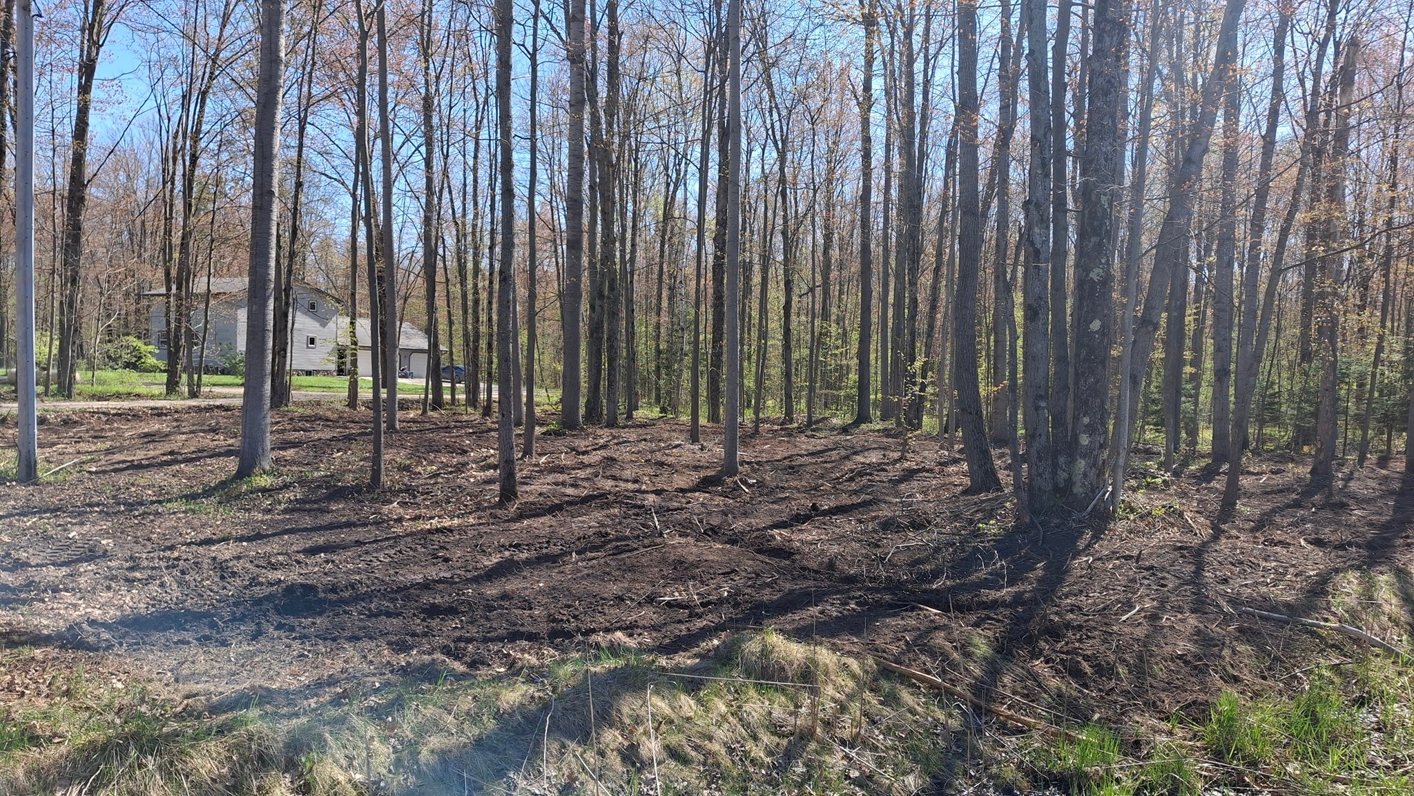 Rooted Reliance Services, LLC. | Curran MI
