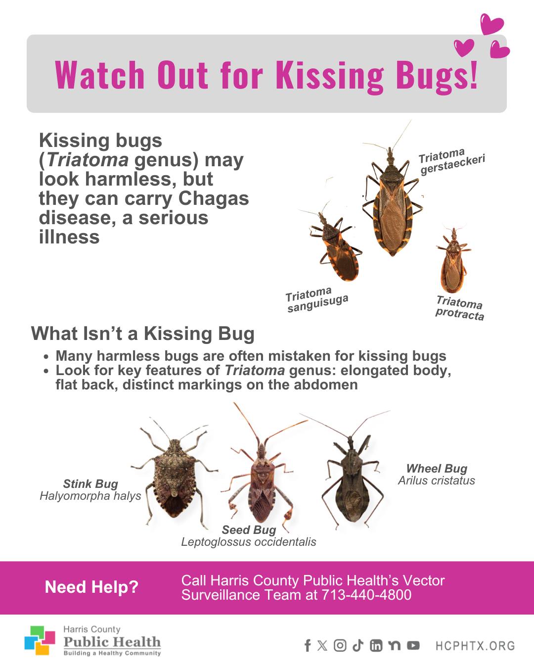 Harris County Public Health... - Harris County Public Health
