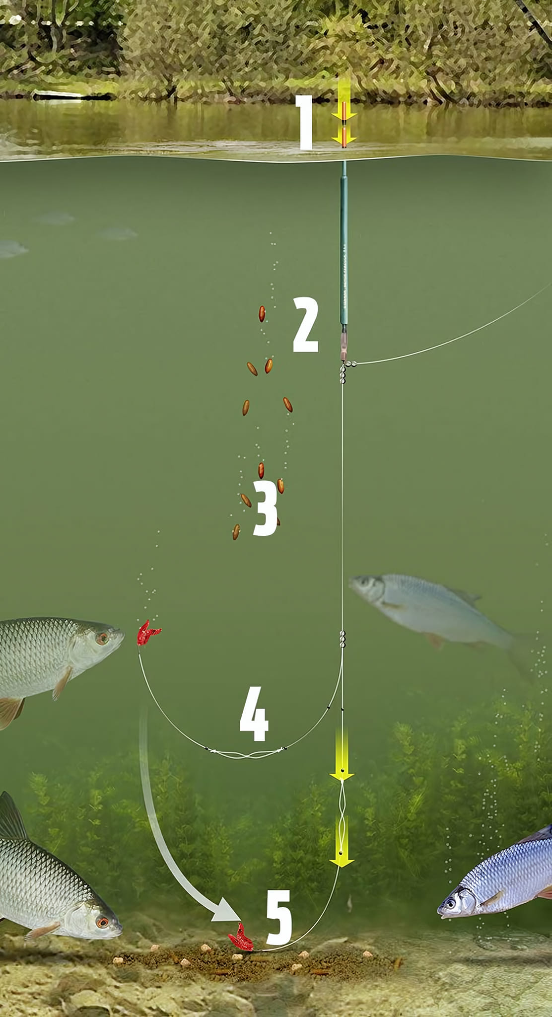 Finest Fishing - Pole rig making tips _ Steve Ringer | Facebook
