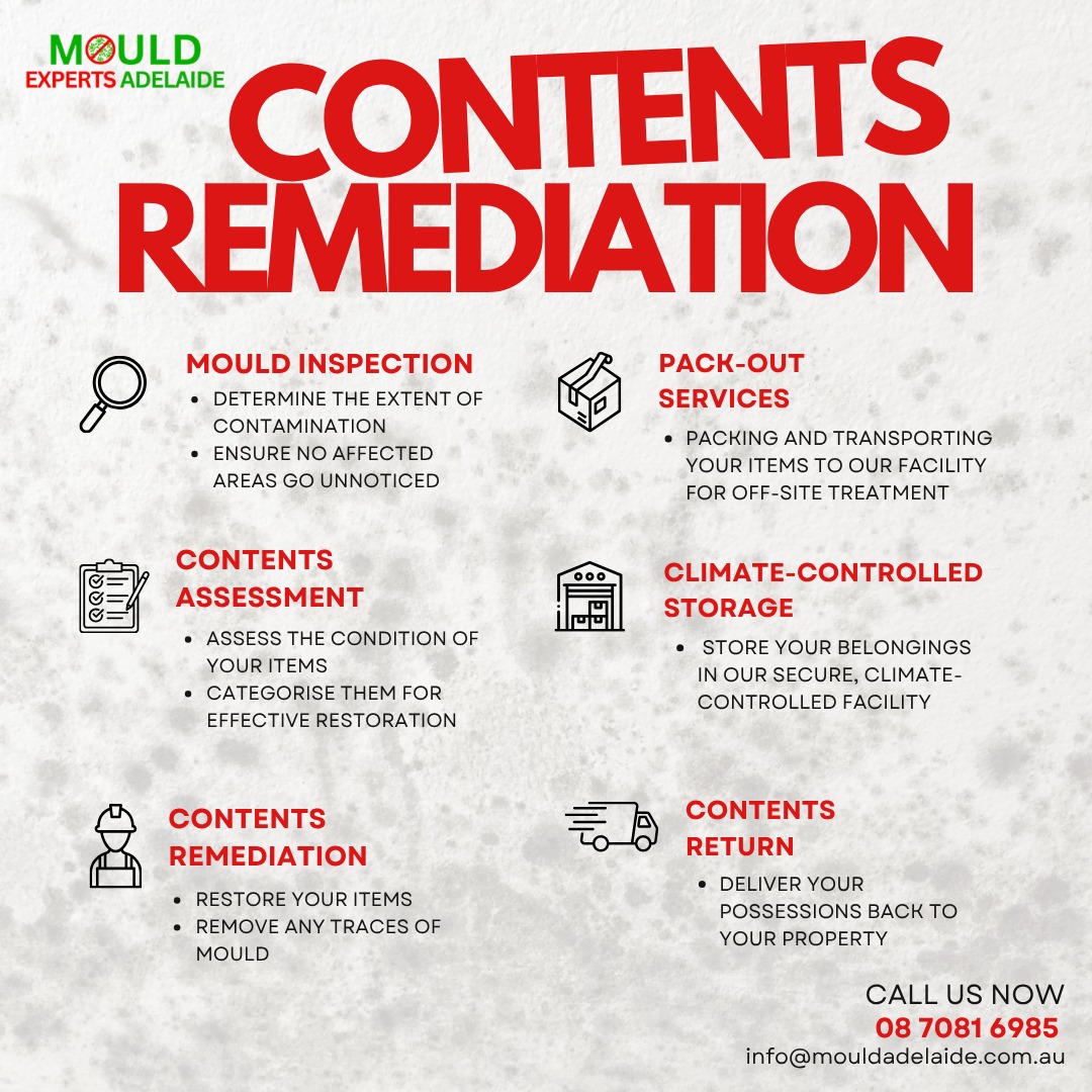 Mould Experts Adelaide | Adelaide SA