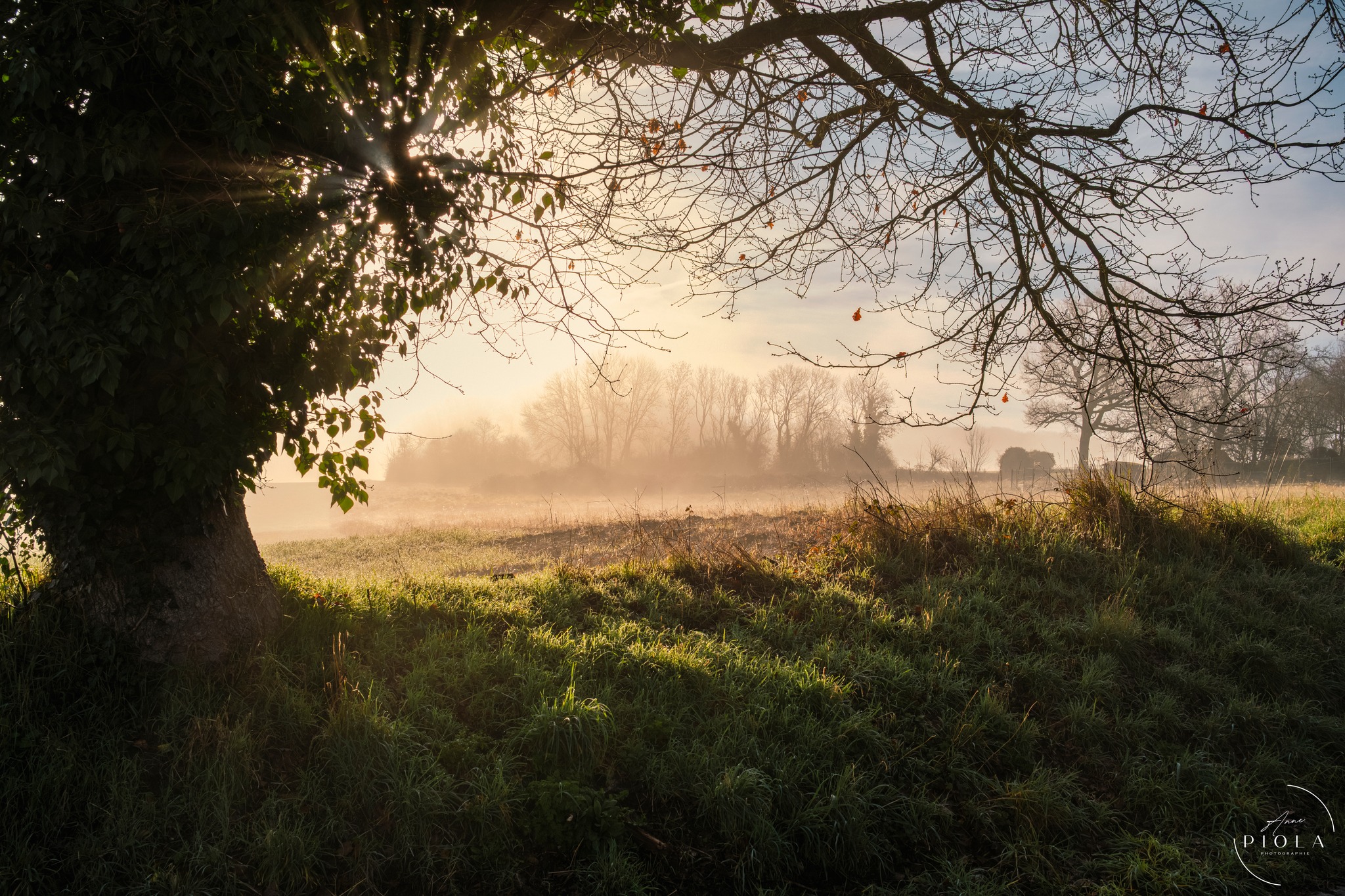 Hello everyone, As the new owner of a Fuji X-E5 + XF23mmF2.8 R WR 