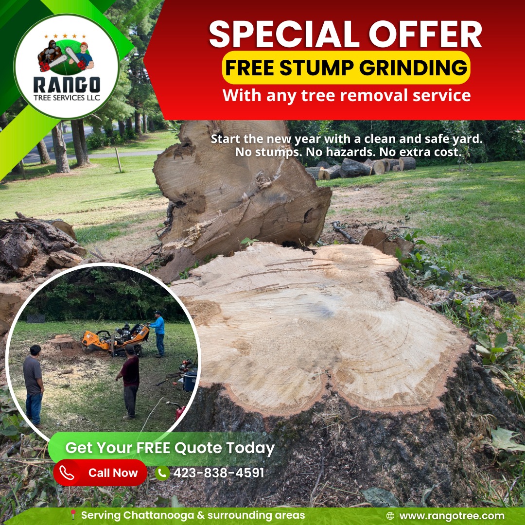 Rango Tree Services LLC | Chattanooga TN